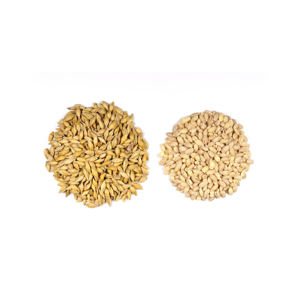 Alimento para Animales, Cebada, Salvado de Trigo, Orgánico Natural de la Mejor Calidad, Empaquetado a Granel, Semillas, Cereales, Granos, para Ganado, Peces, Pollos - Product Image 2