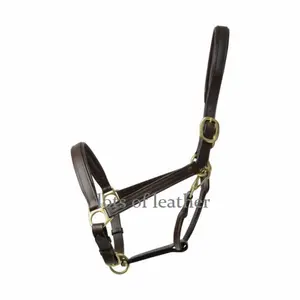 OEM רכיבה סוס אנגלית בסדר עור HEADCOLLAR הלטר מתכוונן חום צבע רכרוכי מרופד CUSTOM גודל & חומרה