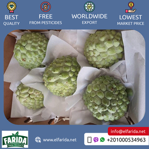 Bán buôn số lượng nhà cung cấp của chất lượng tốt ngon và hương vị ngọt ngào trái cây tự nhiên tươi mãng cầu táo từ Ai Cập - Product Image 2