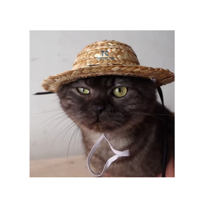 Kids <b>Funny</b> Straw <b>Hats</b> Hairball Headdress Mexican Mini Sombrero With Headband <b>Adult</b> Pet Birthday Party Decoration Accessories - Product Image 3