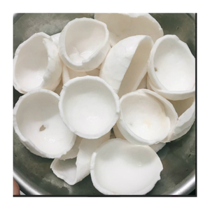 Carne de coco congelada Premium Origen de Vietnam Coco natural saludable para batidos y bebidas - Product Image 5