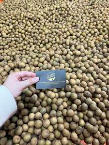 ลำไยสดพรีเมี่ยมสำหรับซูเปอร์มาร์เก็ตและผู้จัดจำหน่ายที่มีความหวานตามธรรมชาติและเนื้อฉ่ำ - Product Image 2