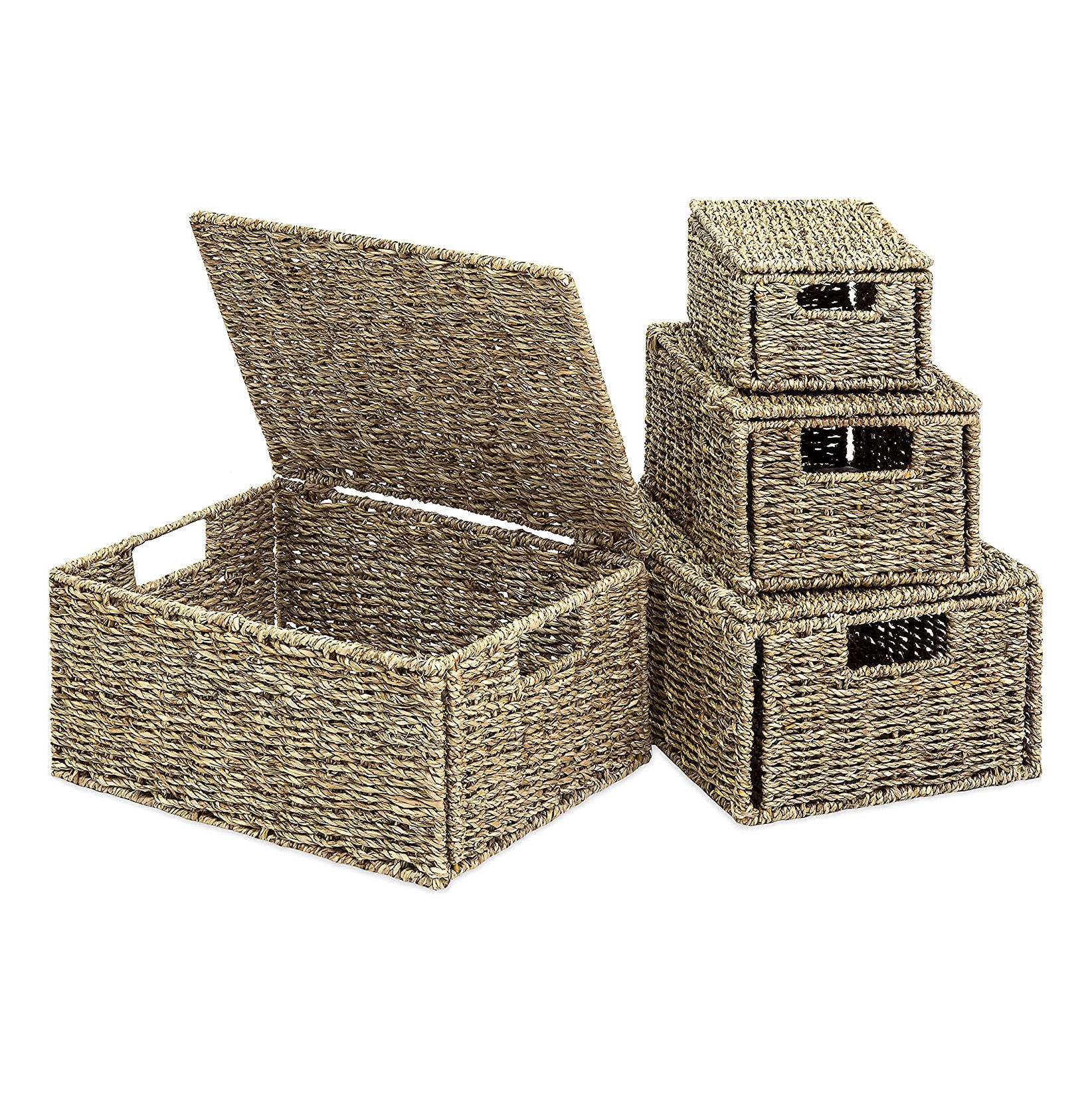 ธรรมชาติ