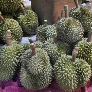 Durians frais de Thaïlande triés sur le volet parfaitement mûrs avec une saveur tropicale exotique crémeuse Meilleur du goût de la Thaïlande - Product Image 3