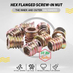 Approvisionnement d'usine M5 M6 M8 M10 zingué haute résistance ISO Standard en acier au carbone écrou à six pans creux insère des attaches de meubles - Product Image 2