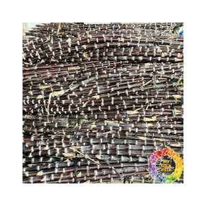 Caña de azúcar congelada preparada en cortes limpios sellados para mantener la dulzura para exportación y aplicaciones culinarias - Product Image 3