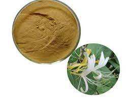 Extrait de fleur de chèvrefeuille prix le moins cher - Product Image 3