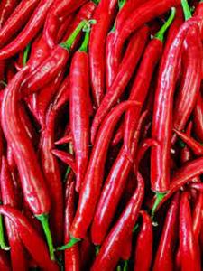 Chiles Cayena Rojos Enteros Frescos, Extra Picantes, de Buena Calidad y Precios Competitivos - Product Image 5