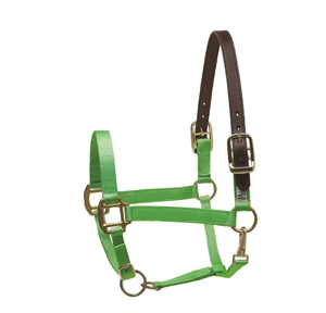 Licol pour chevaux avec logo personnalisé, matériau souple en PVC réglable, produits équestres en gros - Product Image 3
