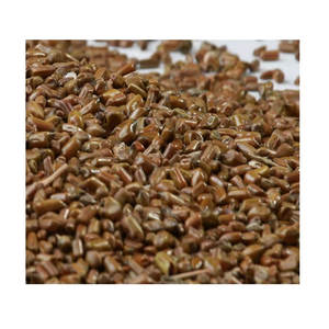 Wild Cassia Tora 100% Natural Pure & Clean Fabricante de semillas orgánicas de la mejor calidad - Product Image 1