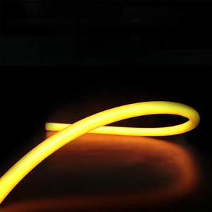 ไฟนีออน LED แบบกลม ขนาดเส้นผ่านศูนย์กลาง 22 มม. กันน้ำ IP65 หมุนได้ 360 องศา สำหรับติดตั้งบนเพดาน - Product Image 5