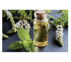 High Quality Natural Mint Essential Oil in Bulk Refined Oil for <b>Cooking</b> Available in Drum Packaging Trusted Supplier Price - Product Image 5