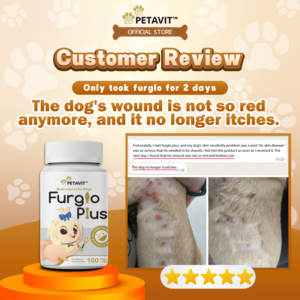 באיכות הגבוהה ביותר furglo בתוספת חיות מחמד עבור פתרונות בריאות כלבים רב-תכליתיים - Product Image 4