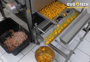 Rompehuevos OVO-TECH RX-4, Máquina para Romper Huevos, Caja de Engranajes con Alimentador de Correa Autoajustable, Capacidad Comercial de 26000 Huevos/Hora - Product Image 4
