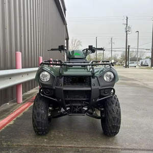 Oferta Increíble 2025/2026: Vehículo Utilitario Nuevo Brutes Force 300 en Venta - Listo para Exportar - Product Image 1