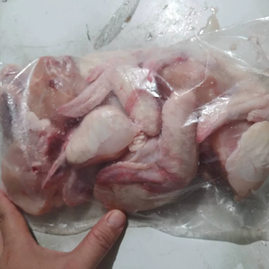 ปีกไก่แช่แข็ง - Product Image 1