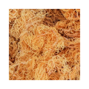 Ietnamese-seamoss secos, mejor calidad, precio barato - Product Image 1