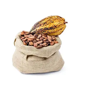 Какао-бобы, ариба-какао-бобы, сушеные сырые какао-бобы, ферментированные какао-бобы, зеленая весовая модель