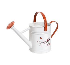 Hot Sale Prices New Design <b>garden</b> watering can water bottle Iron metal Finished water can Indian Handmade - Product Image 5