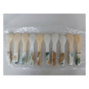 Cuillère à coquillages faite à la main et écologique en coquille durable utilisée pour servir des condiments au sel ou comme pièce de décoration pour la maison - Product Image 4