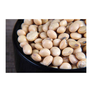 Soja sin OGM disponible a precio barato/soja de alta calidad/soja amarilla sin OGM de calidad superior con alto contenido de proteínas - Product Image 5