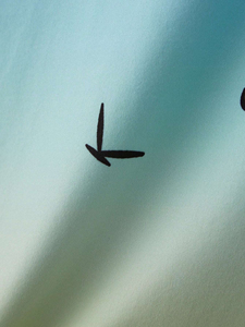 เสื้อกล้ามผู้ชายพิมพ์ลายซับลิเมชันสไตล์ล่าสุด - Product Image 4