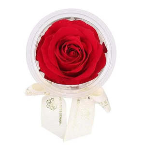 Mini Eternal Rose Party Favor Set of 4 for Valentine's Day Celebrations - Product Image 1