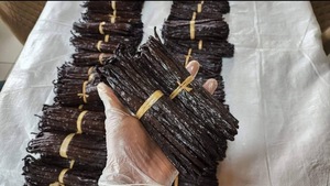 Premium Quality 100% Ground Dried 16-18 cm Bourbon Vanilla SAV Region Pesticide Preservative Free Sun-Dried Planifolia 1kg - Product Image 2