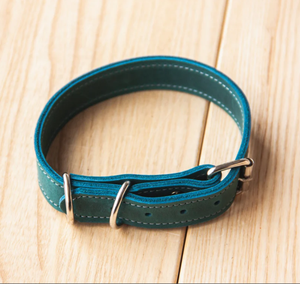 Collar de perro sabueso de cuero verde de alta calidad para galgo y Whippet - Product Image 3