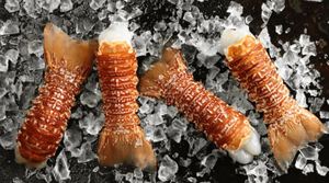 กุ้งมังกรแอฟริกาใต้แช่แข็งขายส่ง ผลิตภัณฑ์อาหารทะเลพรีเมียมสำหรับผู้ซื้อจำนวนมากและการกระจายสินค้าทั่วโลก - Product Image 6