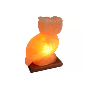 Lámpara de búho de cristal de sal del Himalaya 100% original al por mayor lámparas de inducción contemporáneas recargables mini USB eléctricas de alta calidad - Product Image 3