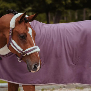 บังเหียนม้าหนังแท้ 100% สไตล์ตะวันตก ขายดี พร้อมแผ่นรองนุ่ม สบายและทนทาน - Product Image 6