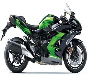 Nuevo 2026 1000 H2 SX SE - Product Image 1