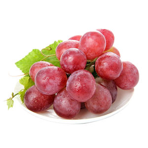 Fresh Seedless Grapes UK Origin Premium <b>Sweet</b> Green 24-28mm Size 50kg Carton <b>Box</b> - Product Image 4