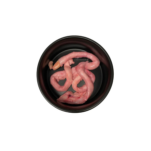 Pene de res congelado para procesadores de carne y mercados mayoristas - Product Image 4