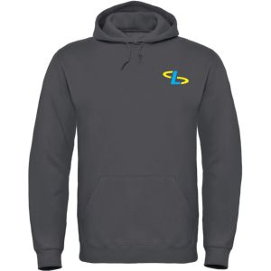 Ropa de hombre, conjunto de dos piezas con capucha y pantalones cortos, ropa de calle de 100% algodón, chándal para hombre con logotipo serigrafiado personalizado - Product Image 6