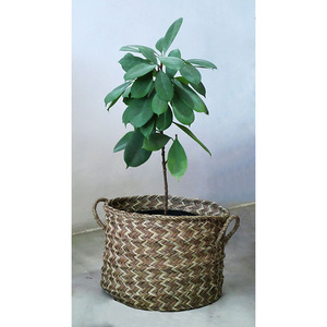 Panier Noja Naturel/Brun Diamètre 42cm Hauteur 38cm - Product Image 1