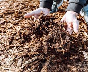 Paillis de bois écologique |   Paillis de jardin naturel |   Paillis paysager décoratif |   Paillis de bois coloré |   Paillis rouge, noir et brun - Product Image 3