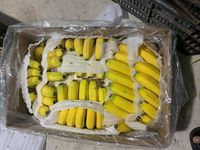 Hoge Kwaliteit Biologische Cavendish Bananen Vers En Klaar Voor Export