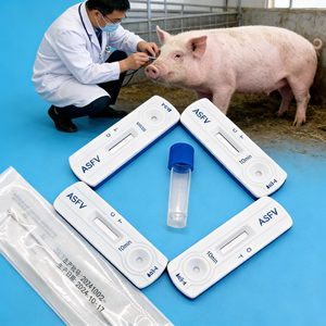 Schnelltest-Kit für Nutztiere zur Antigen-Erkennung von Schweinefieber afrikanischem Typ (ASFV Ag) - Product Image 1