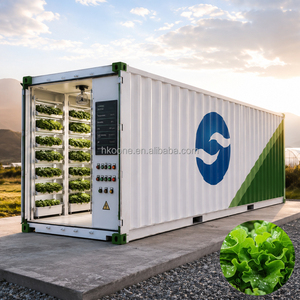 Conteneur intelligent pour légumes verts, serre hydroponique, équipement d'agriculture verticale, solution agricole commerciale - Product Image 1