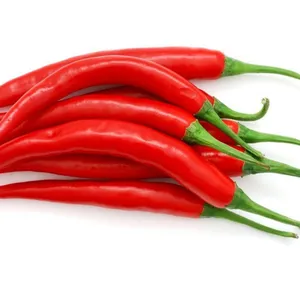 Gran proveedor con precio competitivo-Chile rojo fresco-con estándar de exportación ajustado de Vietnam Best Seller