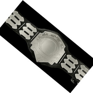 High-Quality Lightweight Championship Belts for <b>Wrestling</b> Custom Made Martial Training Wear Championship Belts - Product Image 2
