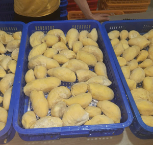 Durian surgelé IQF fabriqué au Vietnam à partir de chair de durian sélectionnée pour la pâtisserie, la création de desserts et les solutions de restauration - Product Image 1