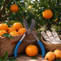 Ciseaux professionnels pour la récolte d'avocats, ciseaux de jardinage pour la cueillette de fruits, outil de taille pour la collecte d'avocats dans les fermes et vergers