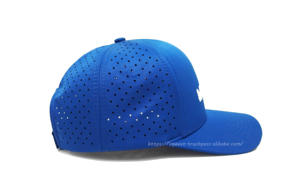 Vente en gros Logo brodé 3D personnalisé Camionneur Baseball Découpé au laser Trous 100% Polyester Réglable à la mode Sports de plein air - Product Image 5