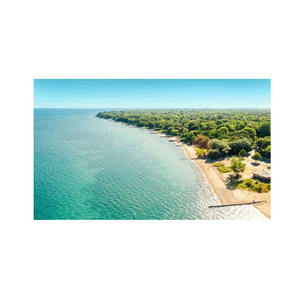 Bûches de bois de hêtre de qualité supérieure en vrac disponibles à des prix avantageux avec des offres de construction concurrentielles - Product Image 3