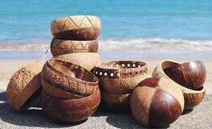 Ensemble de vaisselle en bois de noix de coco bon marché en vrac en gros/bol et cuillère en noix de coco naturelle/bol en coquille de noix de coco fabriqué par Eco2go Vietnam - Product Image 3