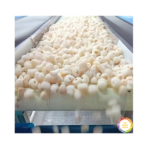 Fruits surgelés de qualité tropicale pour les importateurs et les grossistes Litchi surgelé et Lichee pelé surgelé 99 Données dorées - Product Image 6