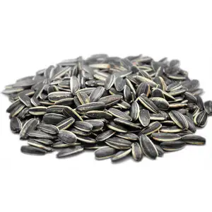 Raw Top Quality Wholesale sunflower seeds kernels small Black oil sunflower seeds for bird feeding